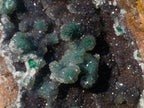 Natural Large Drusy Quartz Coated Ball Malachite On Dolomite Specimen x 1 From Mindingi Mine, Kambove, Congo - Toprock Gemstones and Minerals 