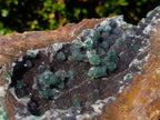 Natural Large Drusy Quartz Coated Ball Malachite On Dolomite Specimen x 1 From Mindingi Mine, Kambove, Congo - Toprock Gemstones and Minerals 