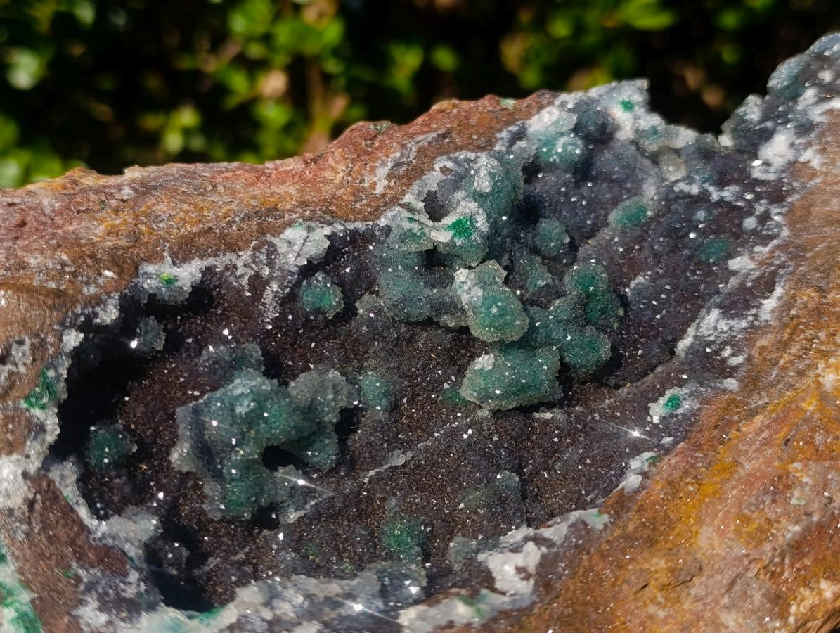 Natural Large Drusy Quartz Coated Ball Malachite On Dolomite Specimen x 1 From Mindingi Mine, Kambove, Congo