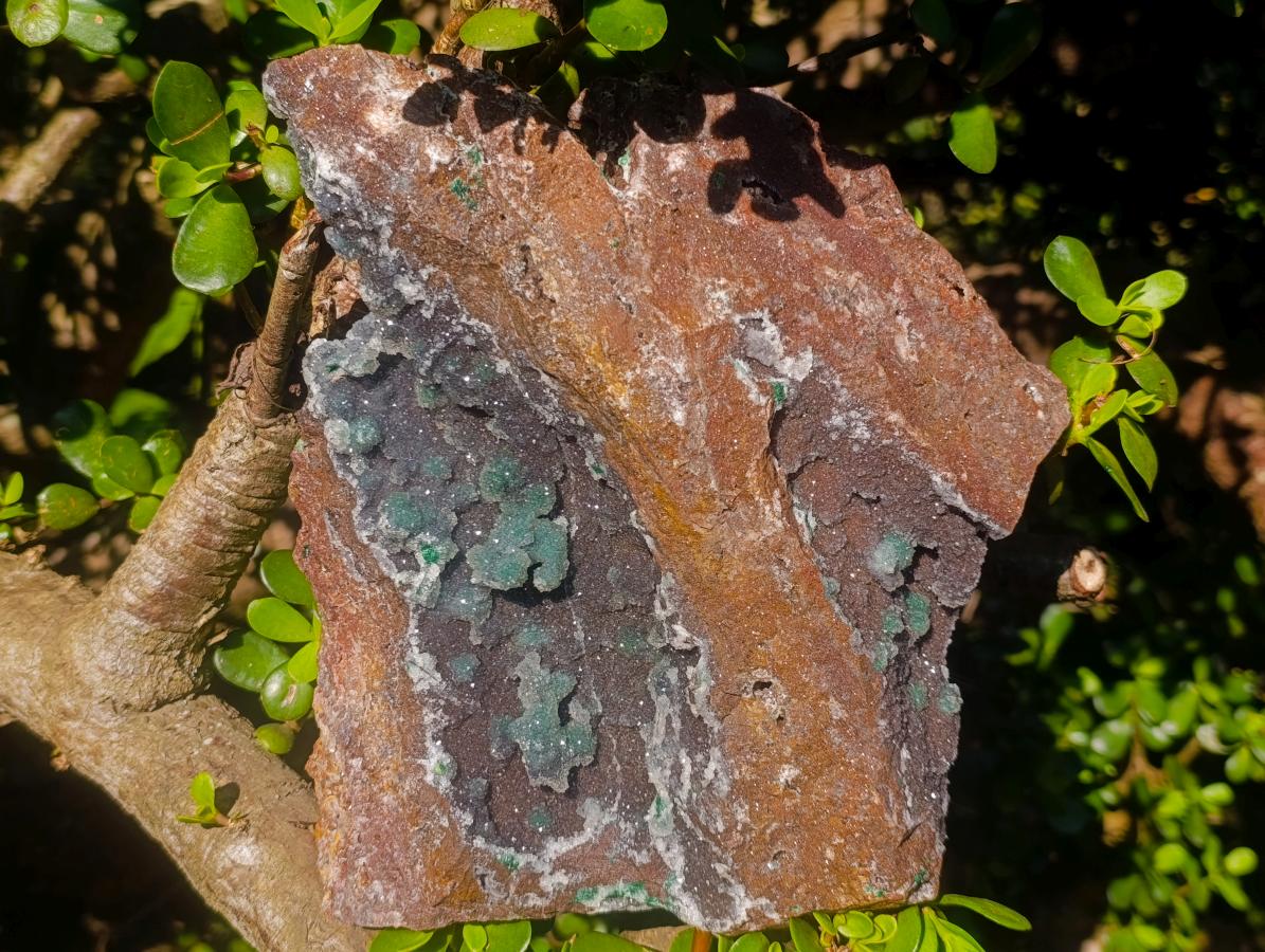 Natural Large Drusy Quartz Coated Ball Malachite On Dolomite Specimen x 1 From Mindingi Mine, Kambove, Congo - Toprock Gemstones and Minerals 