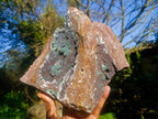 Natural Large Drusy Quartz Coated Ball Malachite On Dolomite Specimen x 1 From Mindingi Mine, Kambove, Congo - Toprock Gemstones and Minerals 