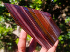 Polished Banded Tiger Iron Display Crystals x 2 From South Africa - Toprock Gemstones and Minerals 