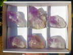 Polished Jacaranda Amethyst Single Crystals x 6 From Mumbwa, Zambia - Toprock Gemstones and Minerals 