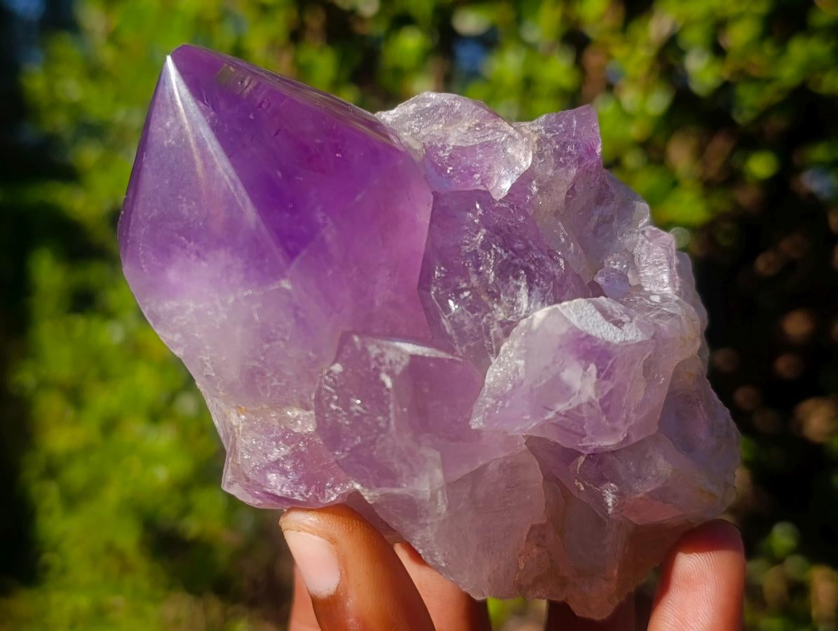 Polished Jacaranda Amethyst Single Crystals x 6 From Mumbwa, Zambia - Toprock Gemstones and Minerals 