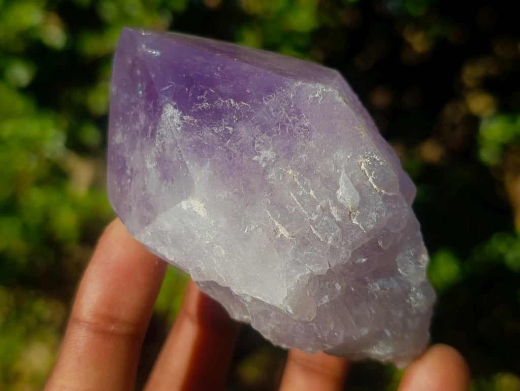 Polished Jacaranda Amethyst Single Crystals x 6 From Mumbwa, Zambia - Toprock Gemstones and Minerals 