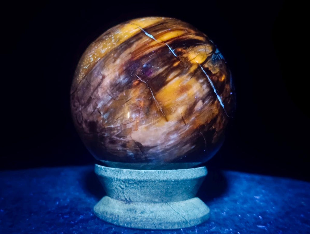 Polished Mixed Dadoxylon Petrified Wood Sphere and Branches x 3 From Gokwe, Zimbabwe - Toprock Gemstones and Minerals 