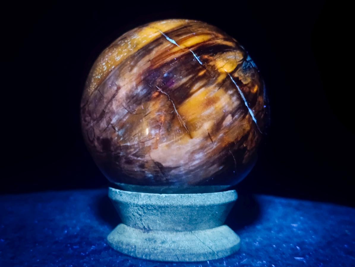 Polished Mixed Dadoxylon Petrified Wood Sphere and Branches x 3 From Gokwe, Zimbabwe