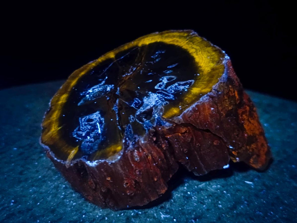 Polished Mixed Dadoxylon Petrified Wood Sphere and Branches x 3 From Gokwe, Zimbabwe - Toprock Gemstones and Minerals 