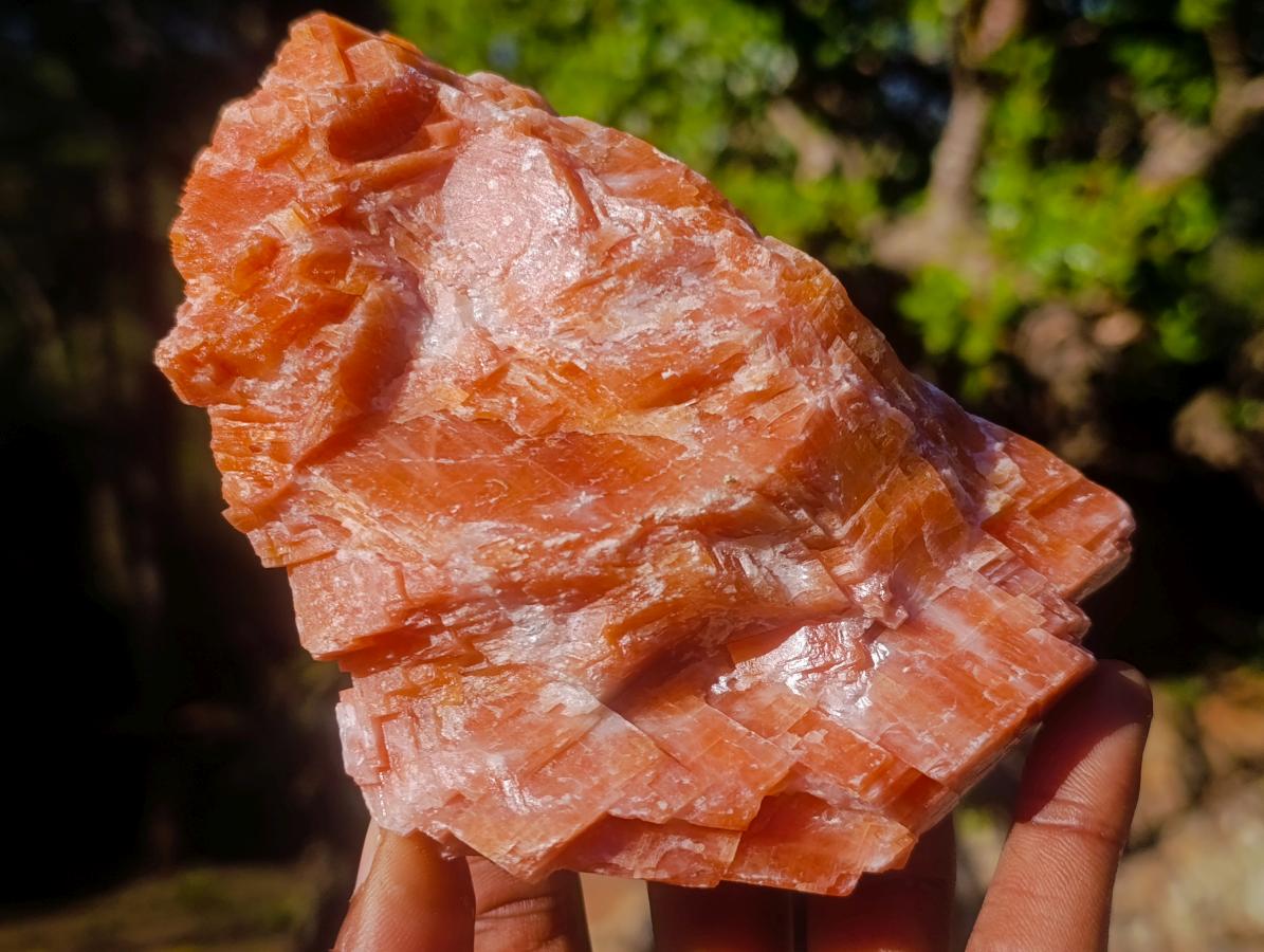 Natural Rhombohedral Sunset Orange Calcite Specimens x 4 From Spitzkop, Namibia