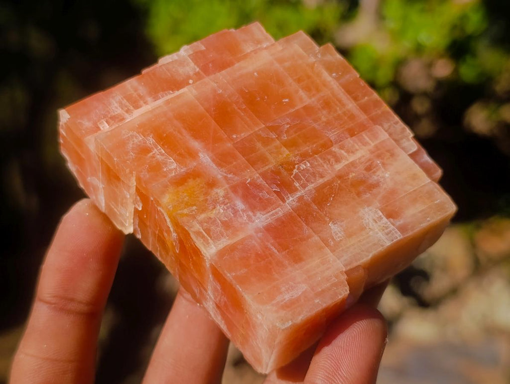 Natural Rhombohedral Sunset Orange Calcite Specimens x 4 From Spitzkop, Namibia