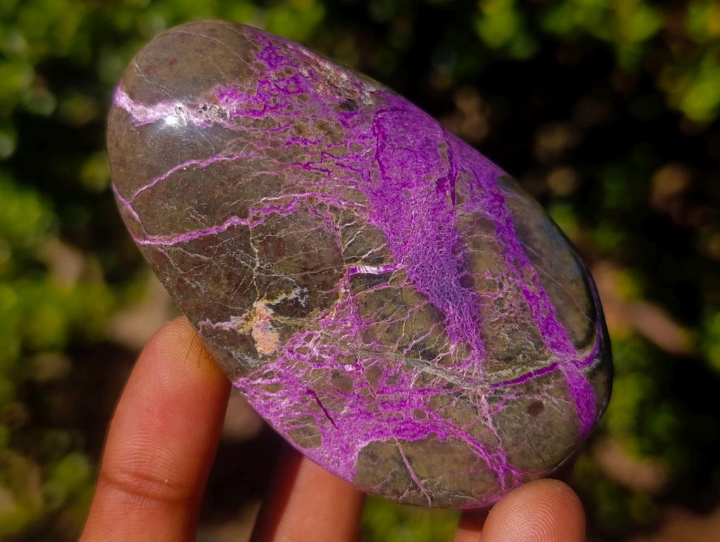 Polished Stichtite Free Forms x 6 From Barberton, South Africa - Toprock Gemstones and Minerals 