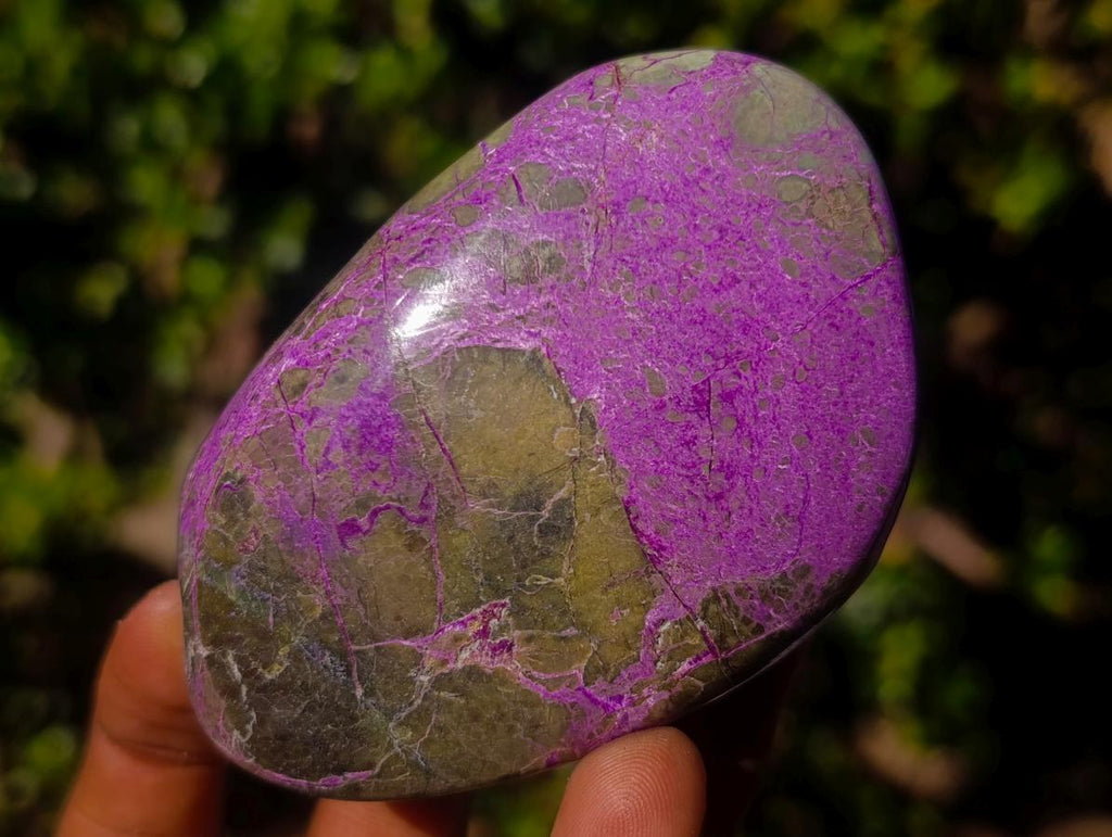 Polished Stichtite Free Forms x 6 From Barberton, South Africa - Toprock Gemstones and Minerals 
