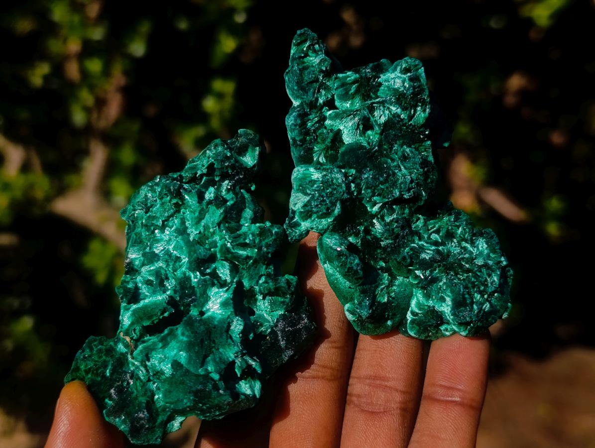 Natural Silky Malachite Specimens x 12 From Kasompe, Congo