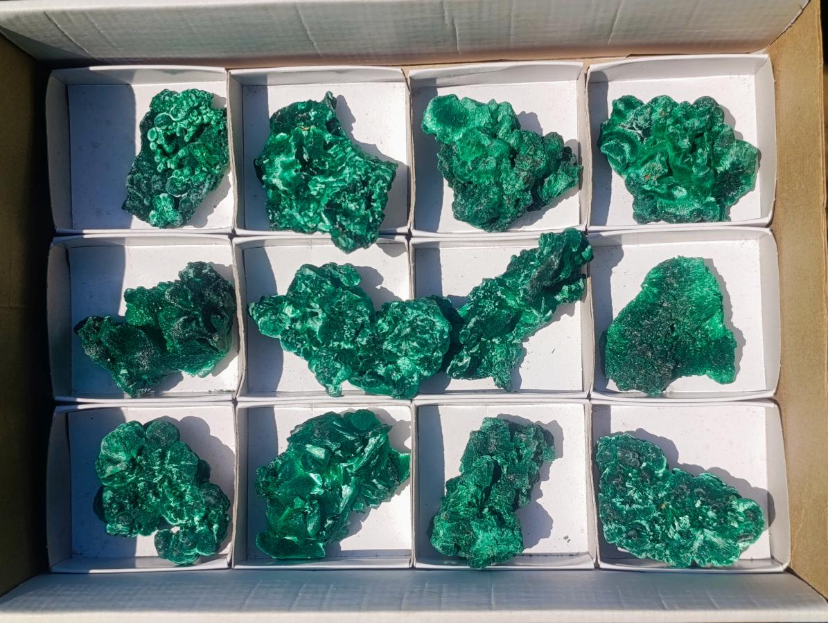 Natural Silky Malachite Specimens x 12 From Kasompe, Congo