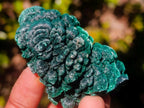 Natural Silky Malachite Specimens x 12 From Kasompe, Congo