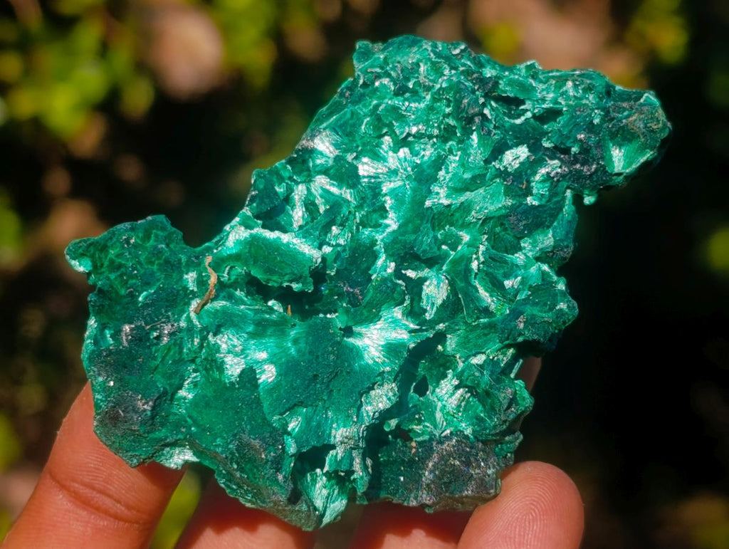 Natural Silky Malachite Specimens x 12 From Kasompe, Congo