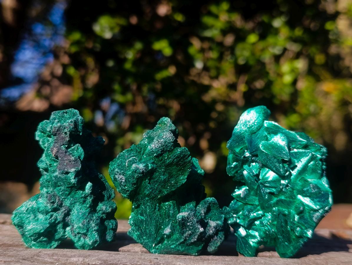 Natural Silky Malachite Specimens x 12 From Kasompe, Congo