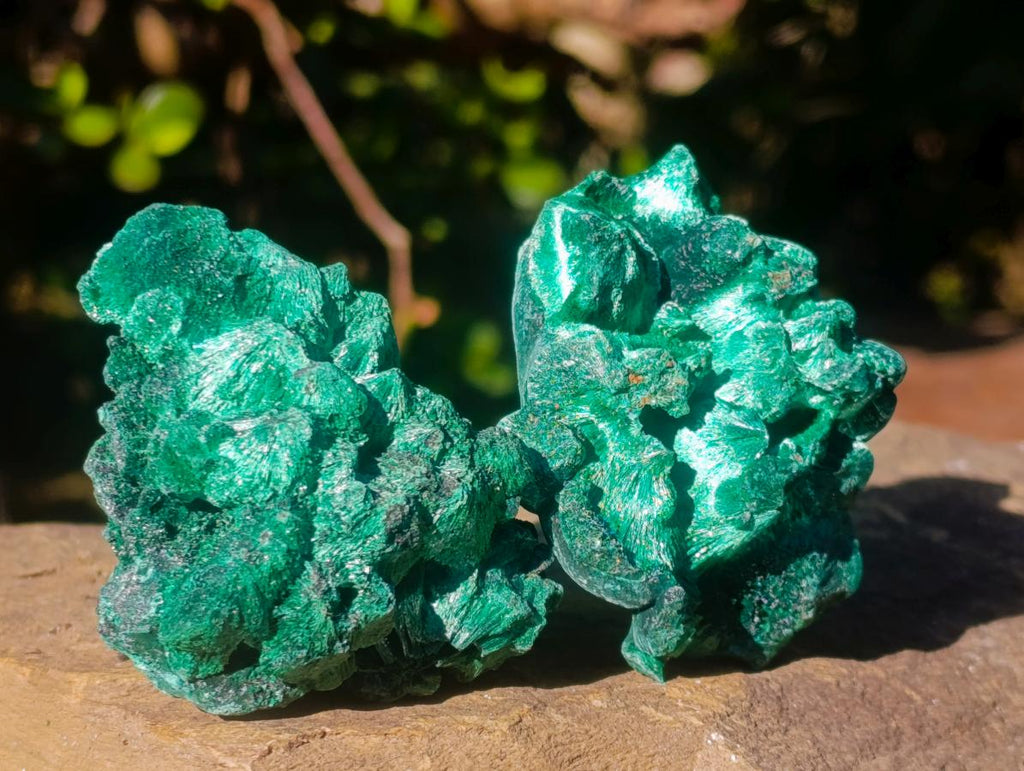 Natural Silky Malachite Specimens x 12 From Kasompe, Congo