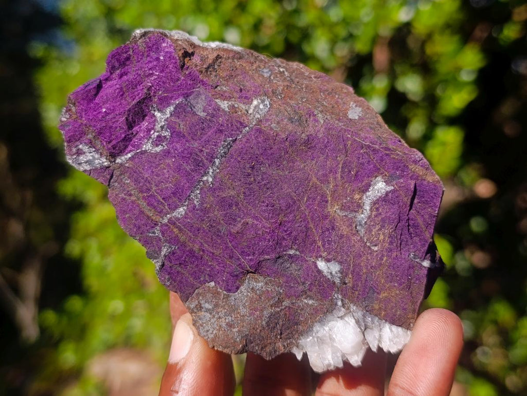 Natural Metallic Cobbed Purpurite Specimens x 12 From Erongo, Namibia