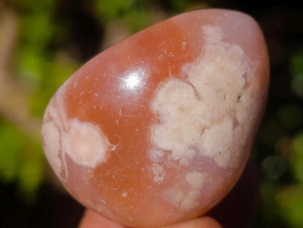 Polished Small Flower Agate Free Forms x 35 From Antsahalova, Madagascar - Toprock Gemstones and Minerals 