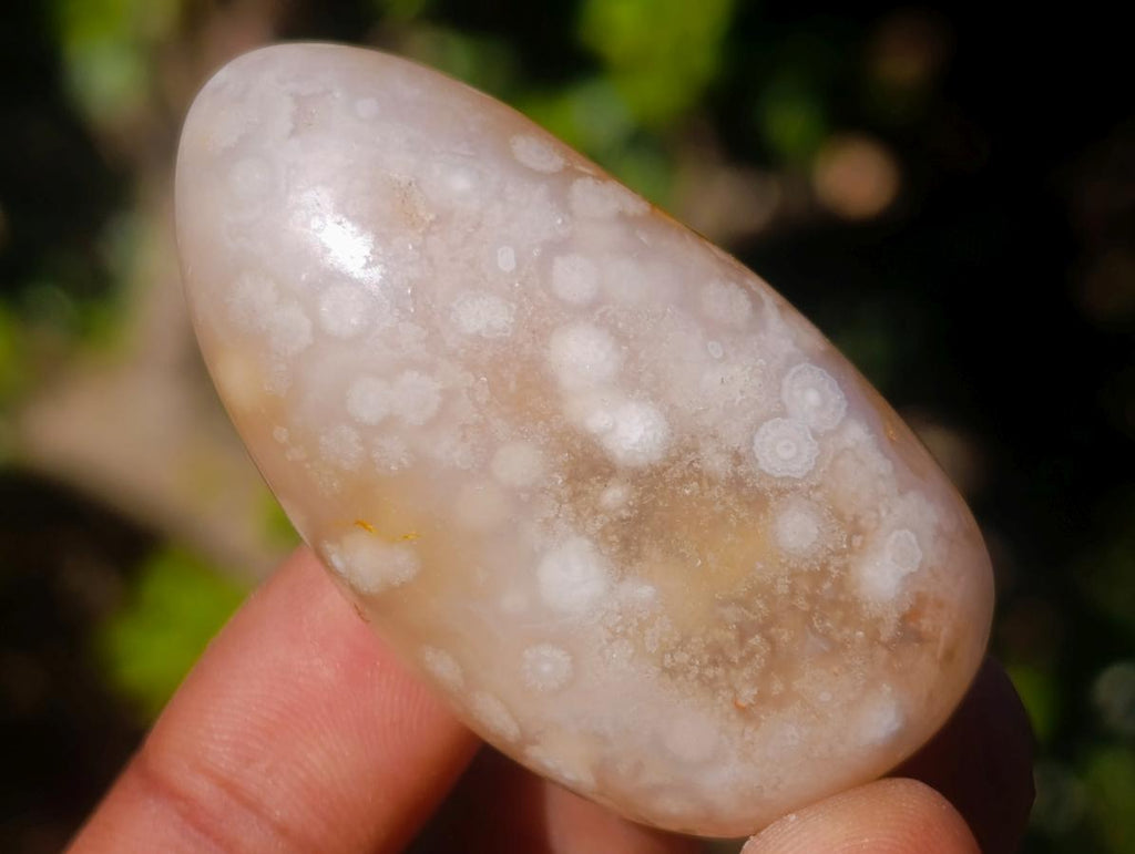 Polished Small Flower Agate Free Forms x 35 From Antsahalova, Madagascar - Toprock Gemstones and Minerals 