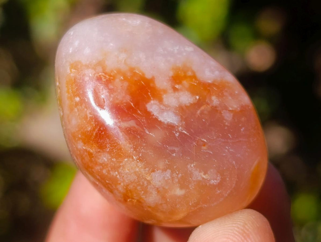 Polished Small Flower Agate Free Forms x 35 From Antsahalova, Madagascar - Toprock Gemstones and Minerals 
