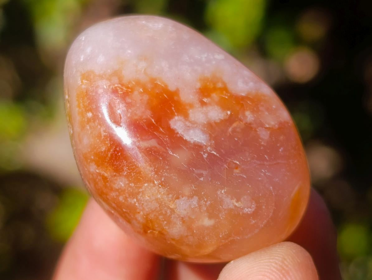 Polished Small Flower Agate Free Forms x 35 From Antsahalova, Madagascar