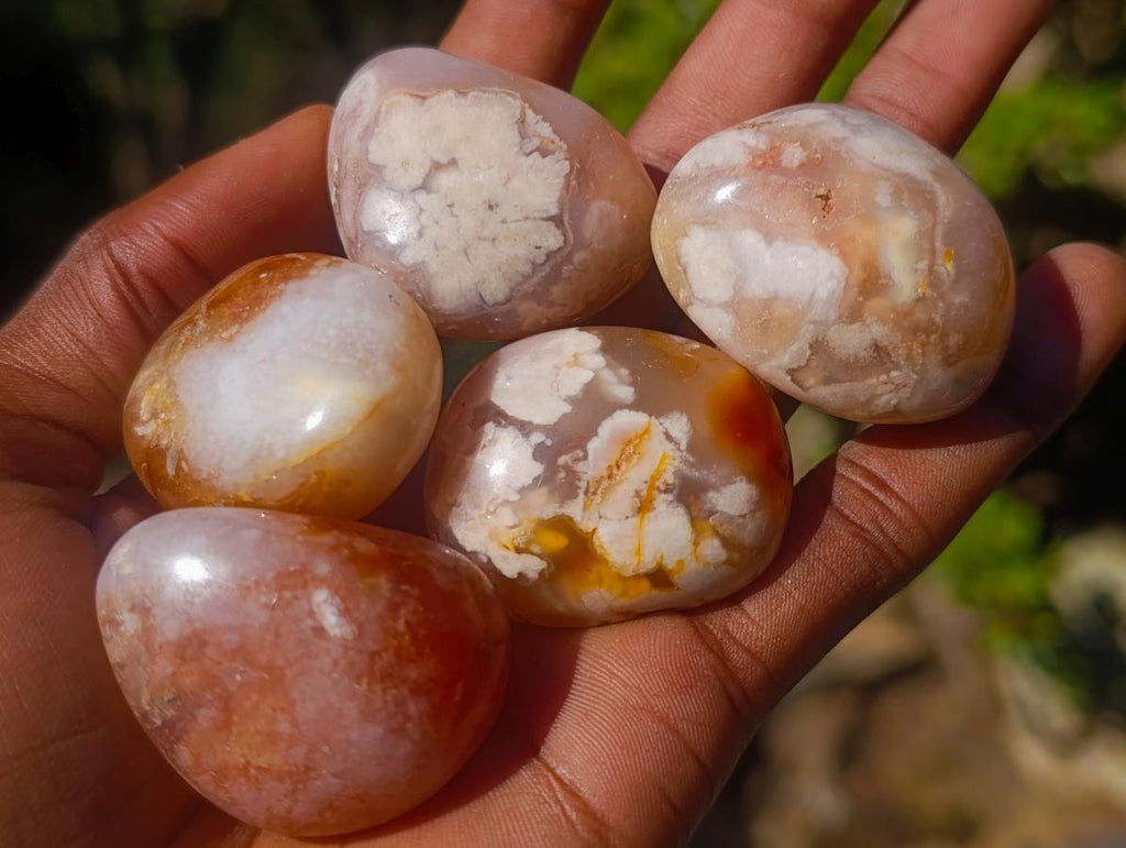 Polished Small Flower Agate Free Forms x 35 From Antsahalova, Madagascar - Toprock Gemstones and Minerals 