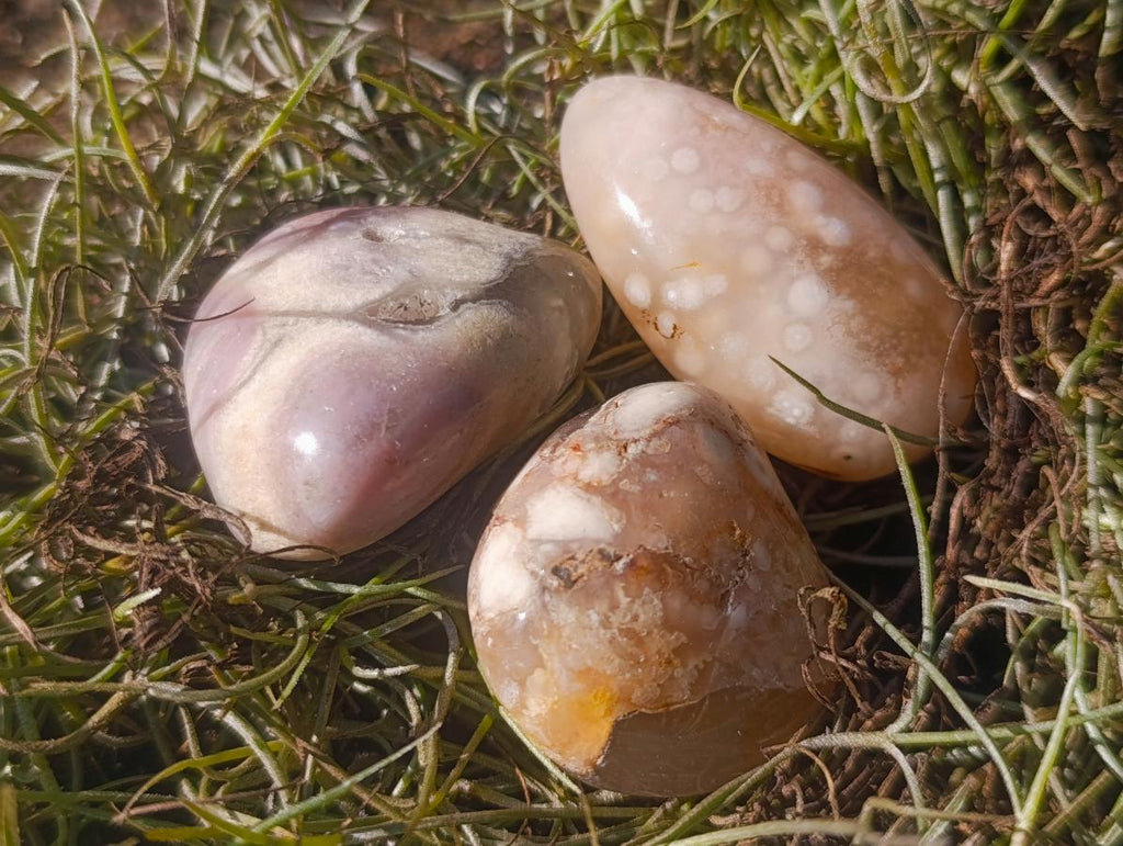 Polished Small Flower Agate Free Forms x 35 From Antsahalova, Madagascar - Toprock Gemstones and Minerals 