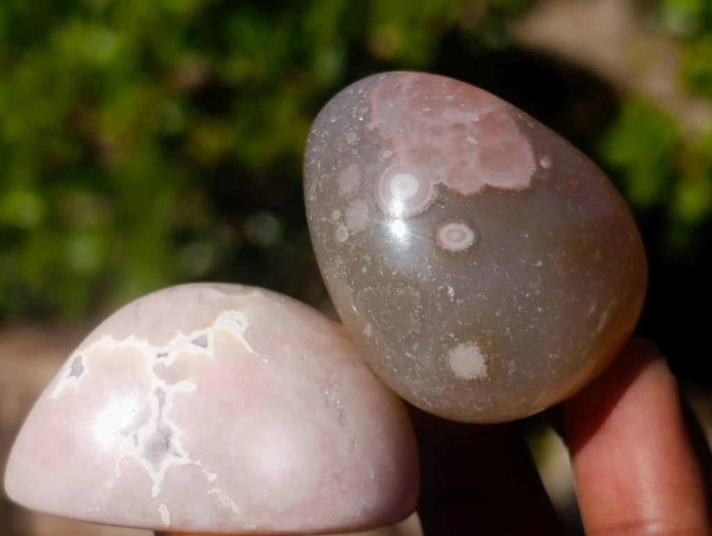Polished Small Flower Agate Free Forms x 35 From Antsahalova, Madagascar - Toprock Gemstones and Minerals 