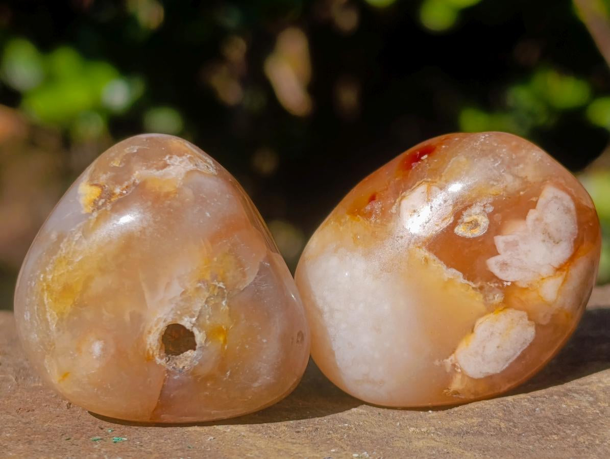 Polished Small Flower Agate Free Forms x 35 From Antsahalova, Madagascar - Toprock Gemstones and Minerals 