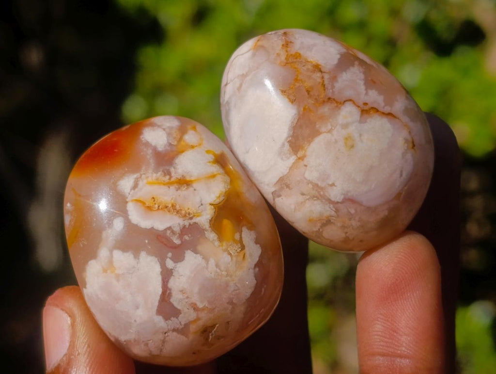 Polished Small Flower Agate Free Forms x 35 From Antsahalova, Madagascar - Toprock Gemstones and Minerals 