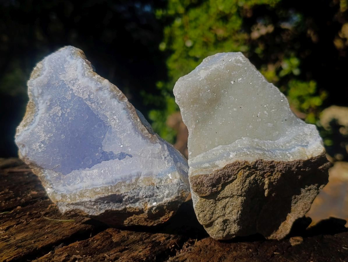 Natural Blue Lace Agate Geode Specimens x 6 From Nsanje, Malawi - Toprock Gemstones and Minerals 