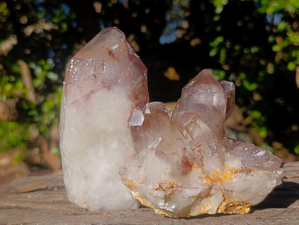 Natural Red Hematoid Quartz Crystal and Clusters x 3 From Karoi, Zimbabwe