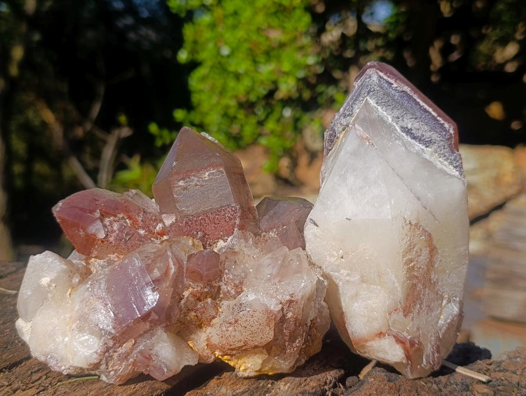 Natural Red Hematoid Quartz Crystal and Clusters x 3 From Karoi, Zimbabwe