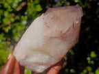 Natural Red Hematoid Quartz Crystal and Clusters x 3 From Karoi, Zimbabwe