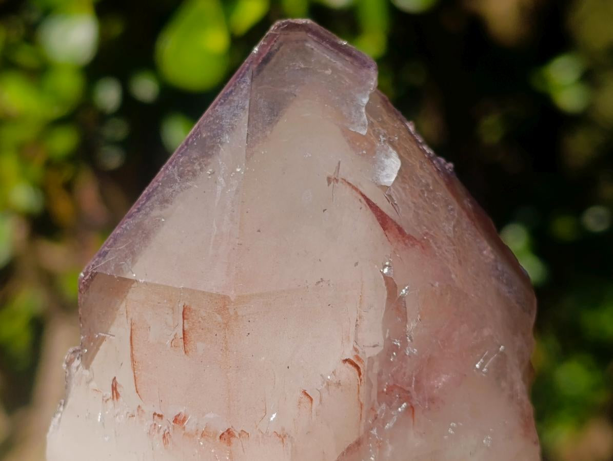 Natural Red Hematoid Quartz Crystal and Clusters x 3 From Karoi, Zimbabwe