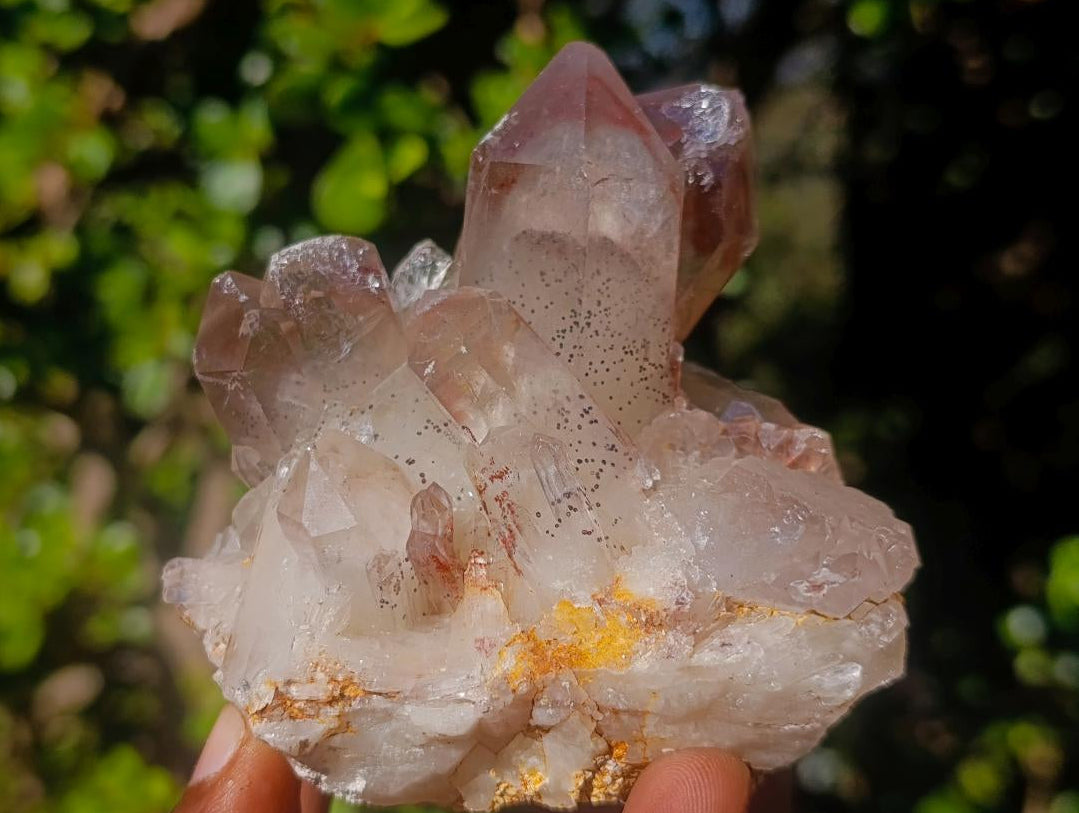 Natural Red Hematoid Quartz Crystal and Clusters x 3 From Karoi, Zimbabwe