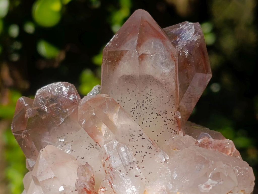 Natural Red Hematoid Quartz Crystal and Clusters x 3 From Karoi, Zimbabwe