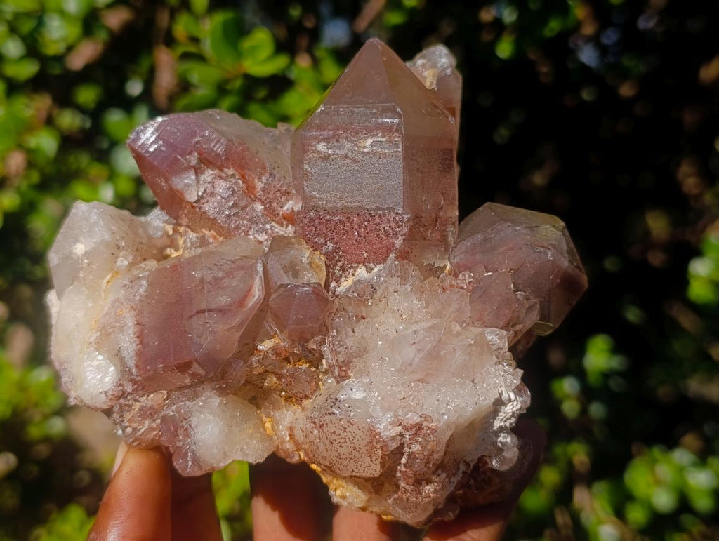 Natural Red Hematoid Quartz Crystal and Clusters x 3 From Karoi, Zimbabwe
