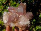 Natural Red Hematoid Quartz Crystal and Clusters x 3 From Karoi, Zimbabwe