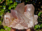 Natural Red Hematoid Quartz Crystal and Clusters x 3 From Karoi, Zimbabwe