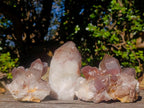 Natural Red Hematoid Quartz Crystal and Clusters x 3 From Karoi, Zimbabwe