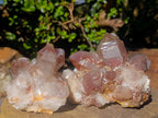 Natural Red Hematoid Quartz Crystal and Clusters x 3 From Karoi, Zimbabwe