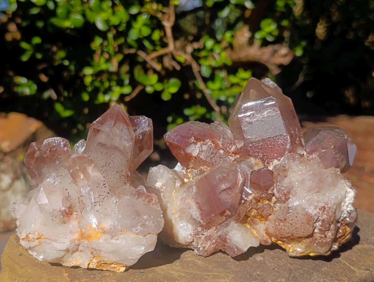 Natural Red Hematoid Quartz Crystal and Clusters x 3 From Karoi, Zimbabwe