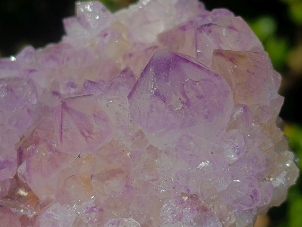 Natural Sunburst Spirit Amethyst Clusters x 6 From Boekenhouthoek, South Africa