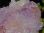 Natural Sunburst Spirit Amethyst Clusters x 6 From Boekenhouthoek, South Africa