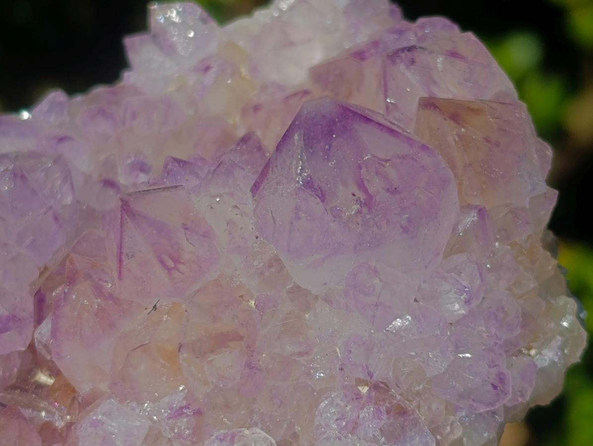 Natural Sunburst Spirit Amethyst Clusters x 6 From Boekenhouthoek, South Africa