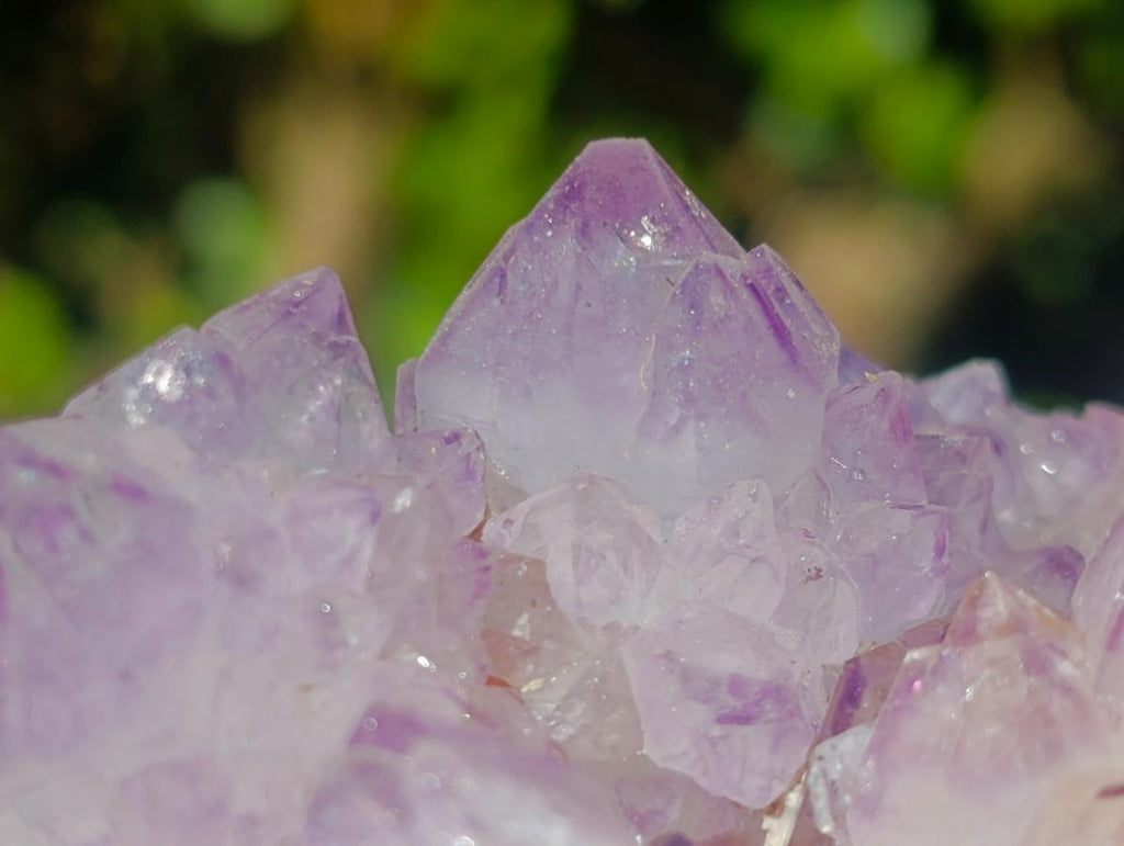 Natural Sunburst Spirit Amethyst Clusters x 6 From Boekenhouthoek, South Africa