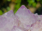 Natural Sunburst Spirit Amethyst Clusters x 6 From Boekenhouthoek, South Africa
